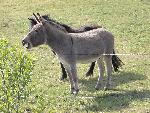 Photo DSC01712.JPG